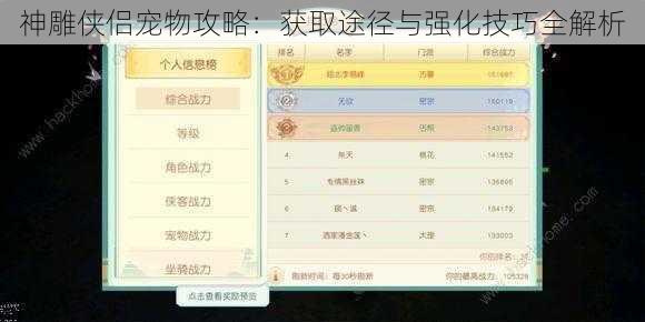 神雕侠侣宠物攻略:获取途径与强化技巧全解析