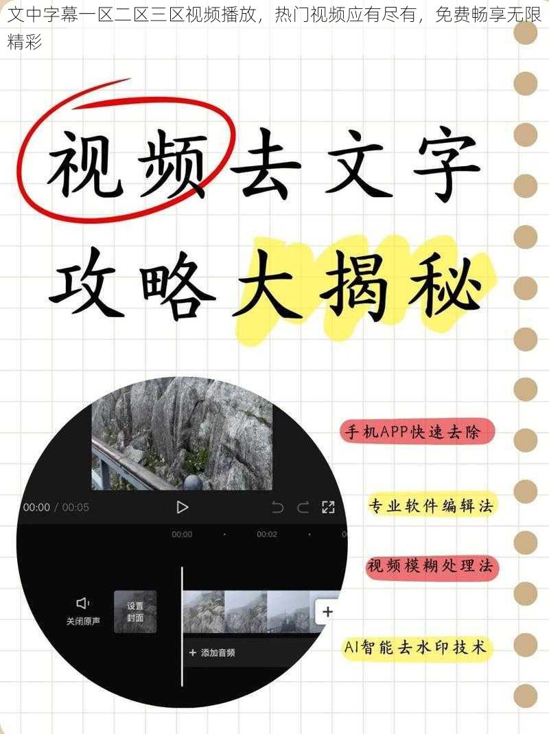 文中字幕一区二区三区视频播放,热门视频应有尽有,免费畅享无限精彩